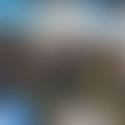 Spieltagsinfo: Heimspiel der SVM-Frauen gegen den Vfl Wolfsburg II