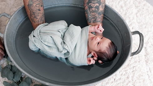 MONTAGE COCON DES NAISSANCES.00_01_46_17.Still007.jpg