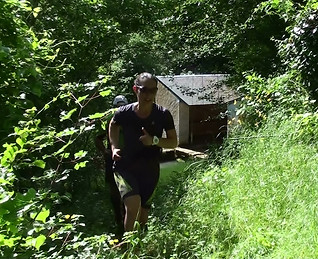 trail amazy pentraid, les sangliers