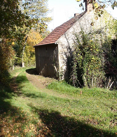 trail amazy pentraid, les marcassins
