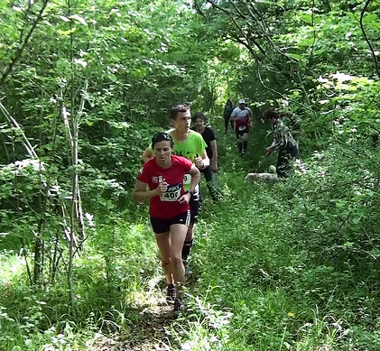 trail amazy pentraid, les sangliers