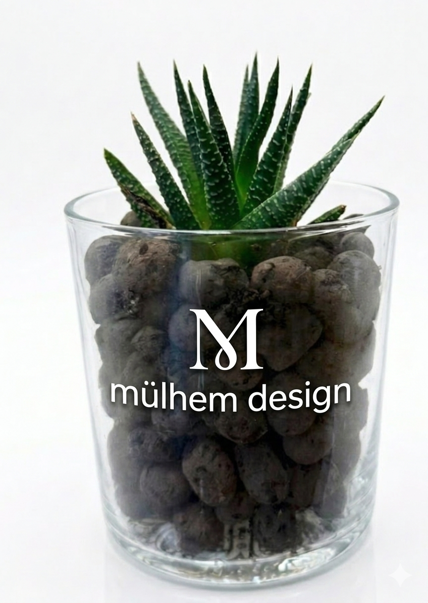 Haworthia Fasciata (Zebra Sukulent) – Özel Cam Tasarım 8 cm
