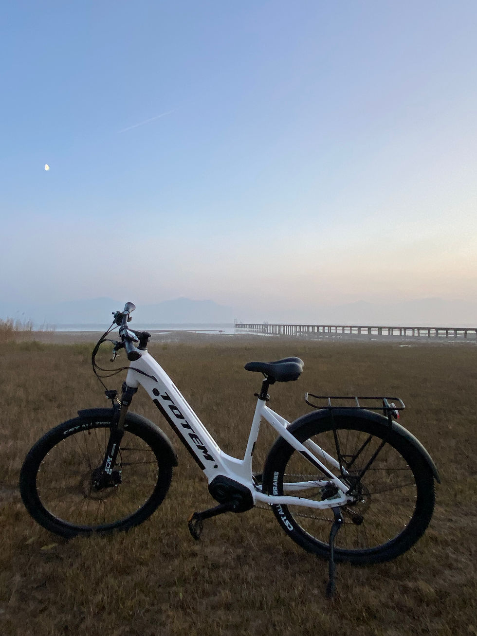 Miniaturbild: TOTEM City E-Bike Delta
