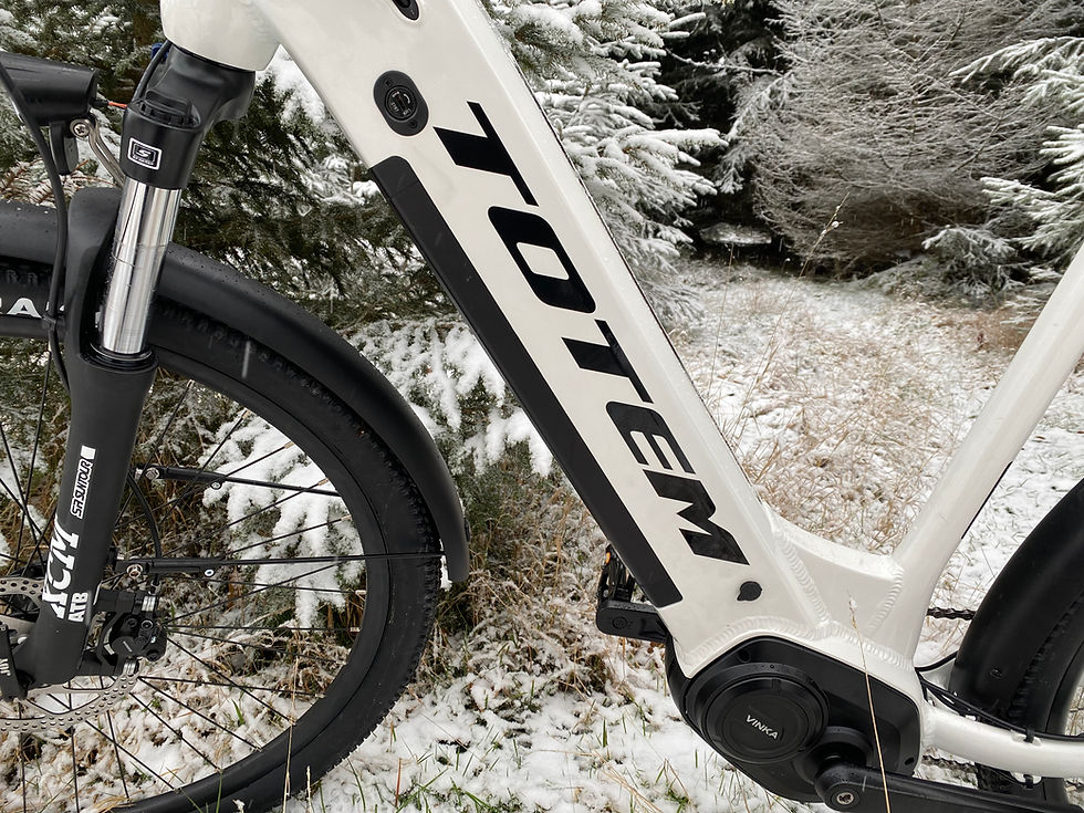 Miniaturbild: TOTEM City E-Bike Delta