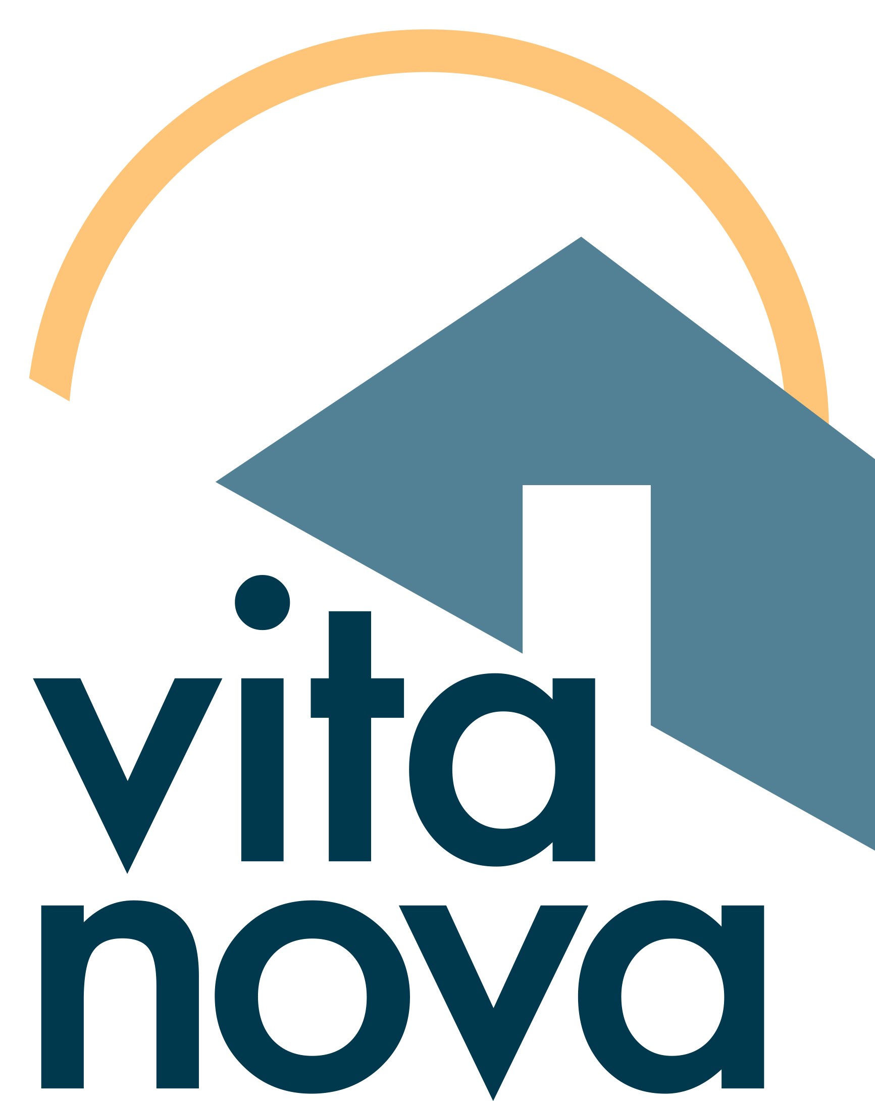 VN_Final_logo.png