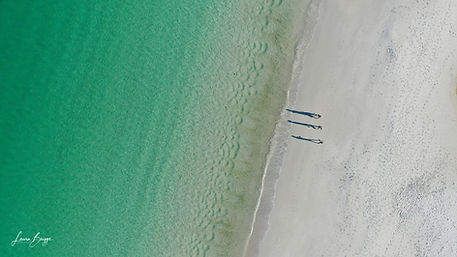 The white sands of Hyams Beach, NSW Australia