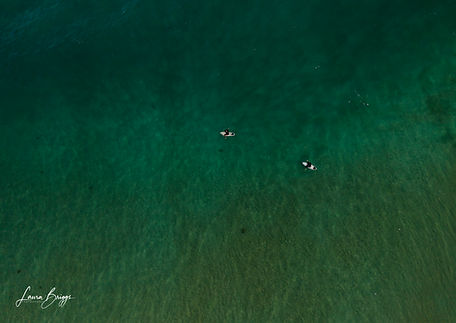 Surfers in the ocean