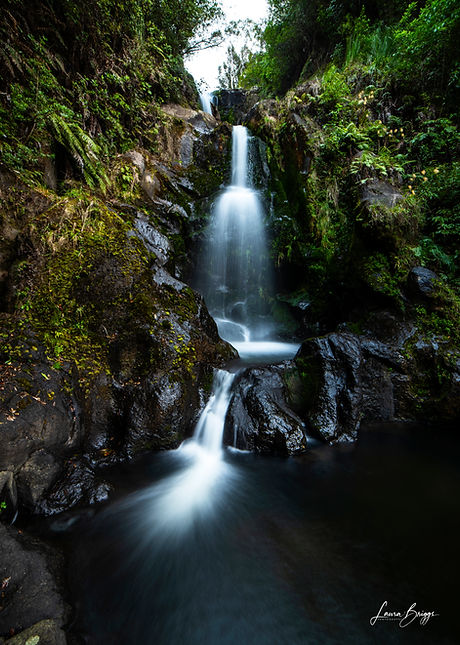 Kaiate Falls New Zealand North Island