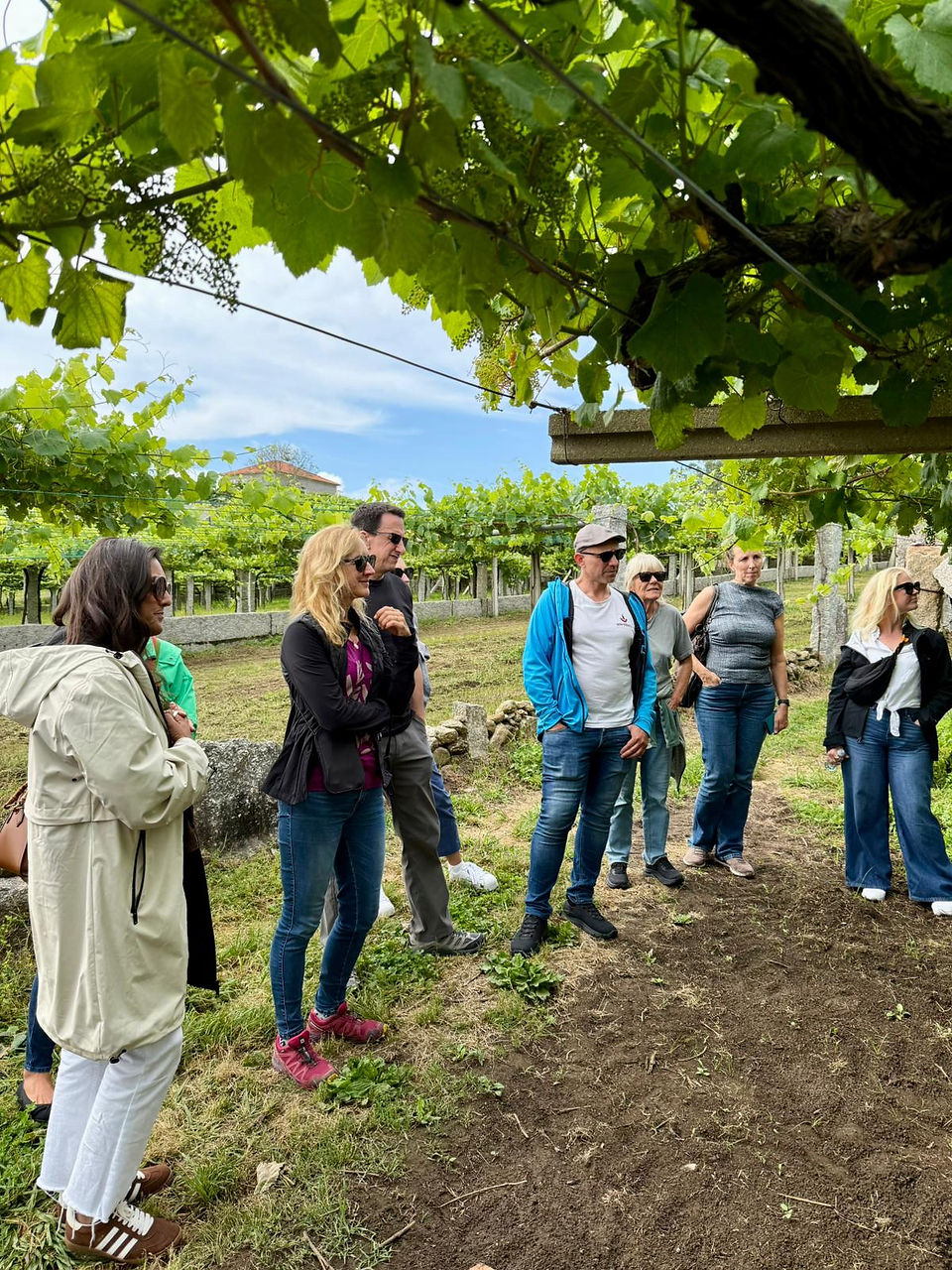 Our host talking to the group about the vines at Attis