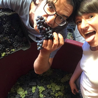 José and Liliana of El Hato y El Garabato