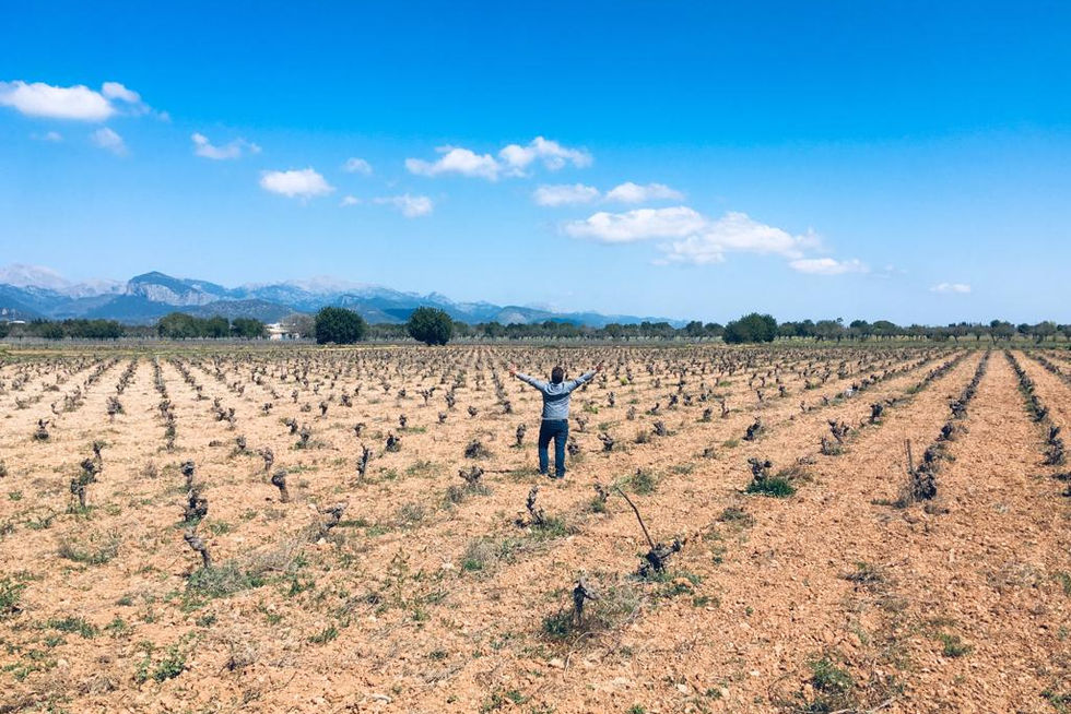 7103 Petit Celler, Sebastìa in his vineyard