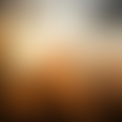 Autumn old vines in Bierzo, illuminated by the setting sun - photo by Mercedes Rancaño Otero, Getty Images Signature