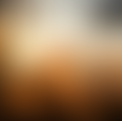 Autumn old vines in Bierzo, illuminated by the setting sun - photo by Mercedes Rancaño Otero, Getty Images Signature