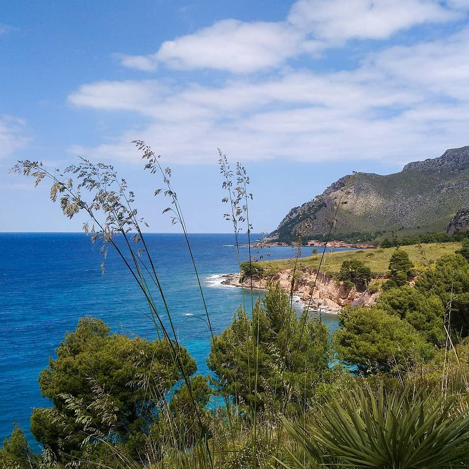 Betlem, in the north coast of Mallorca