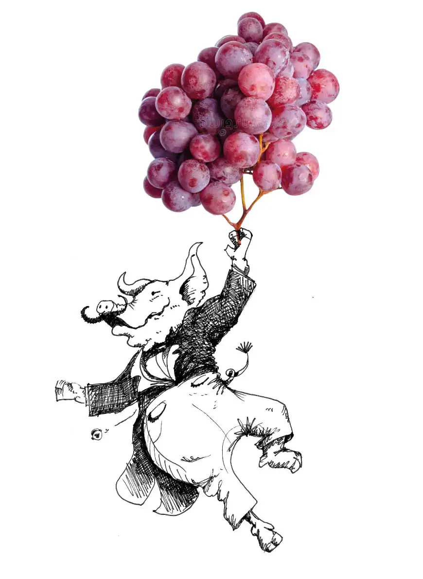 The Connoisseur - Six personal Vines, Six bottles a year for two years at Los Dos Caballeros