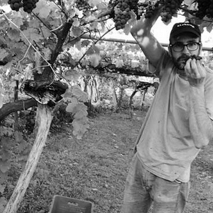 Bodegas Albamar