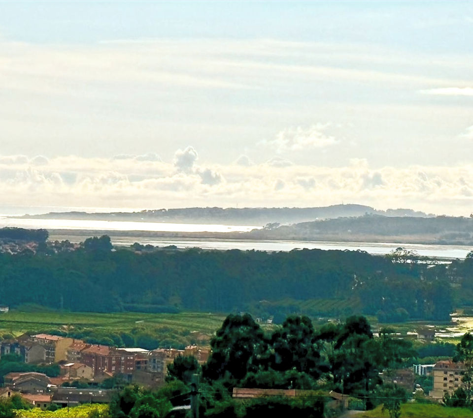 The sea view from Attis Bodegas & Viñedos