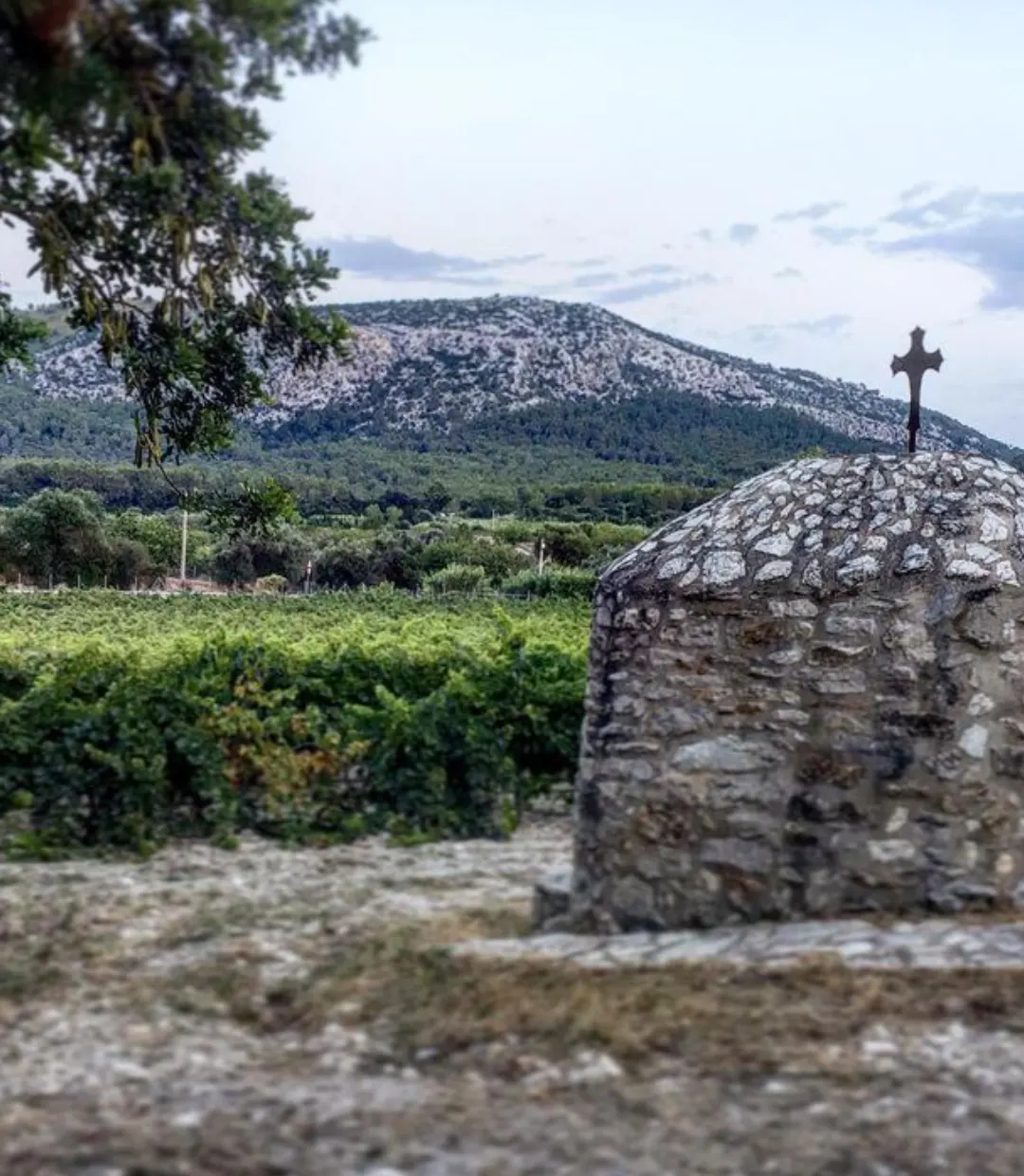 Finca Can Sureda cerca de Pollença