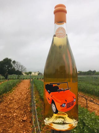 7103 Petit Celler Orange Giro Blanc wine
