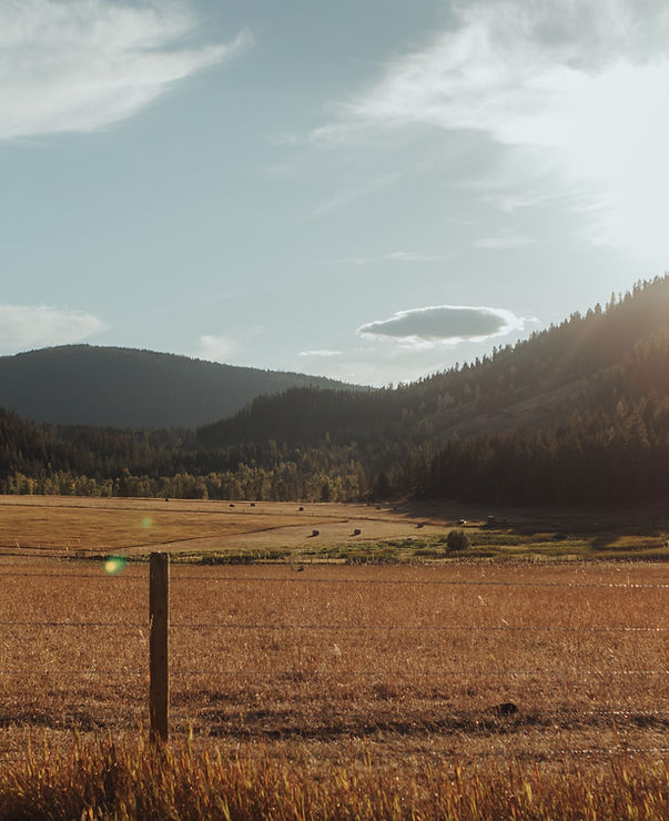 4D Creek Ranch