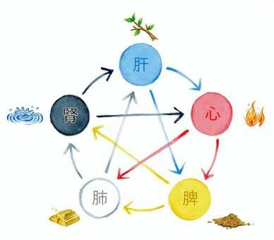 冷えとむくみ⑤東洋医学「脾」