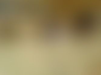 第176回親子サッカー教室を開催しました。