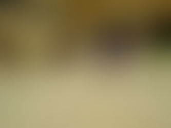 第173回親子サッカー教室を開催しました。