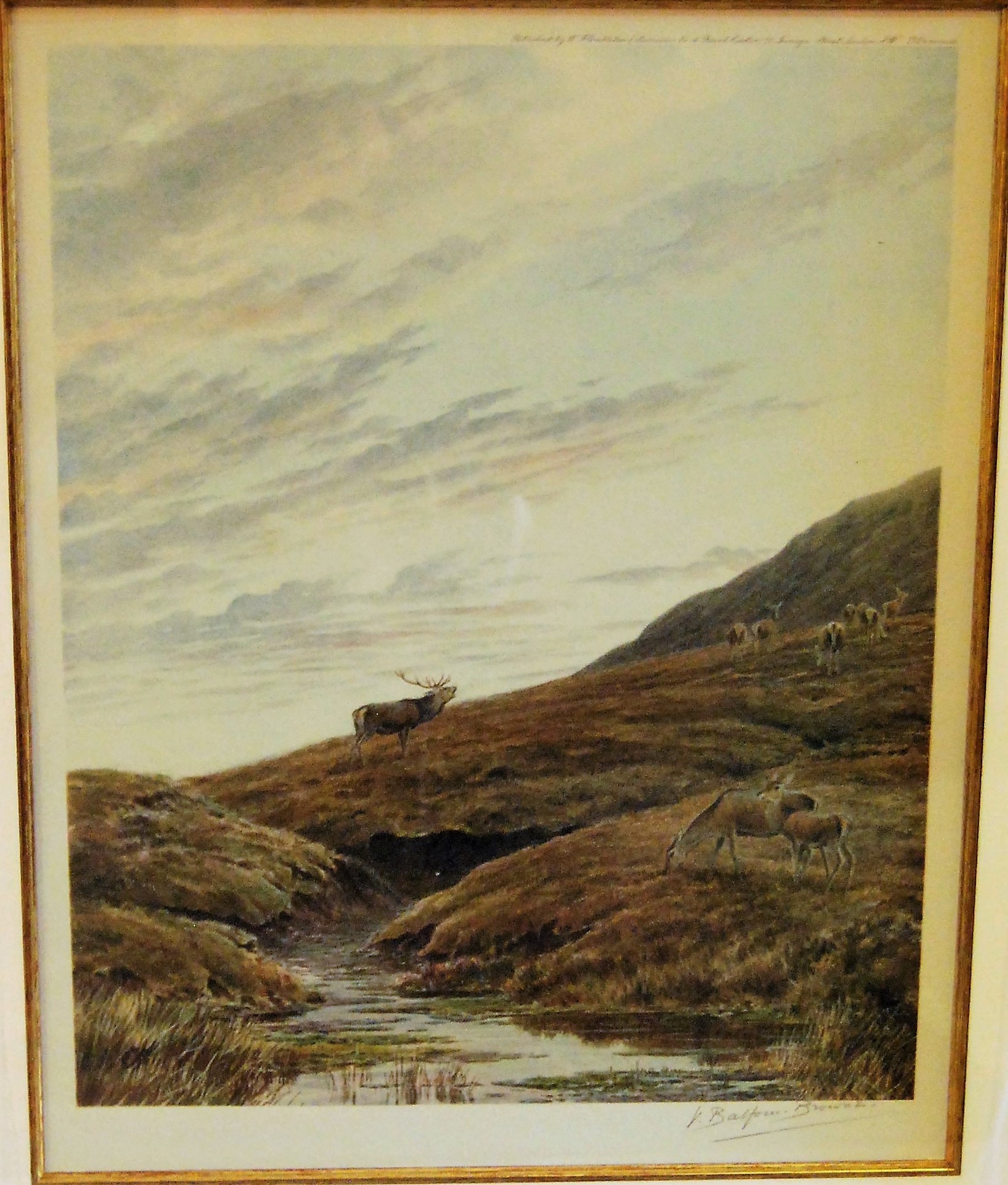 "Corrie Dubh Royal" (4 of 6)