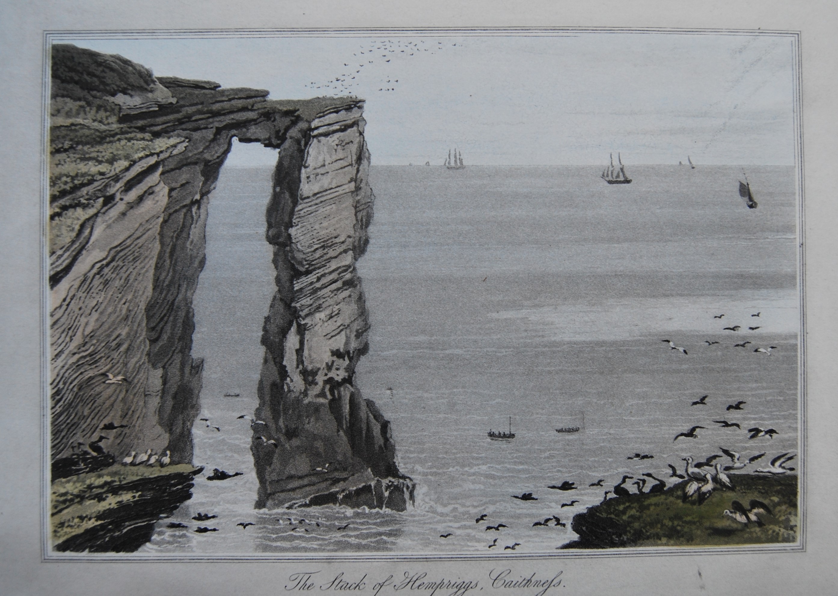 William Daniell