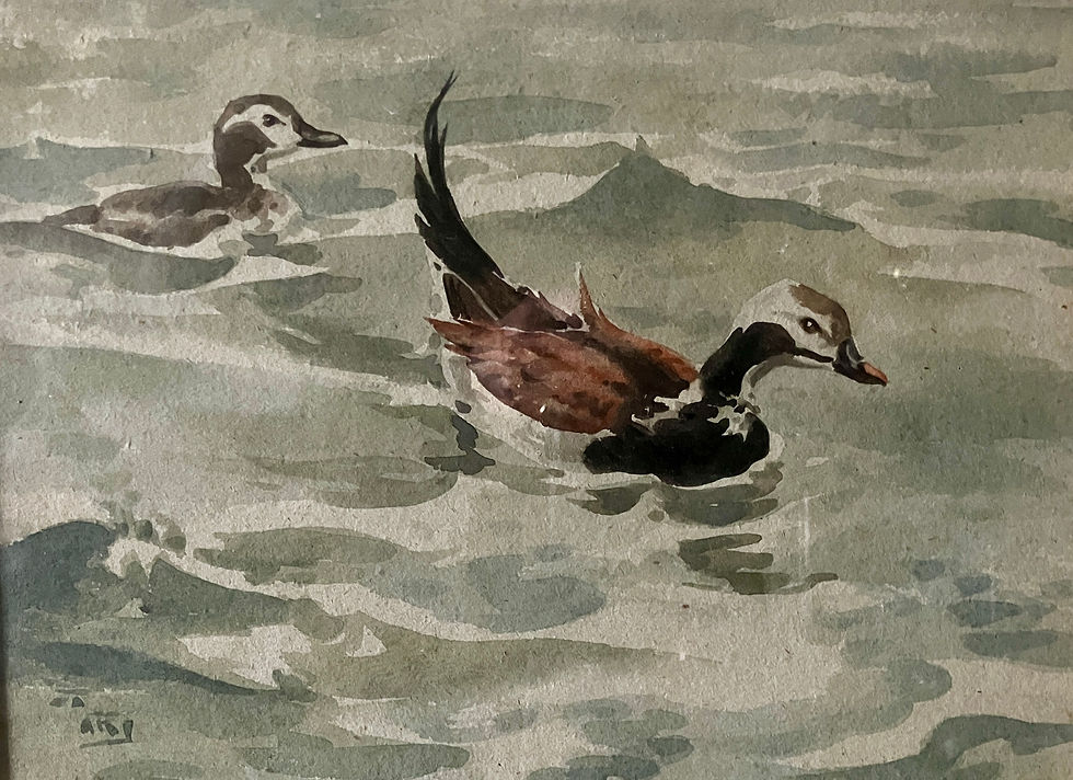 Thumbnail: Talbot Kelly (1861-1934)