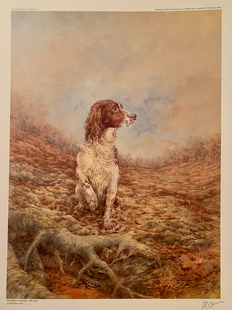 Ian R. Oates - Spaniel