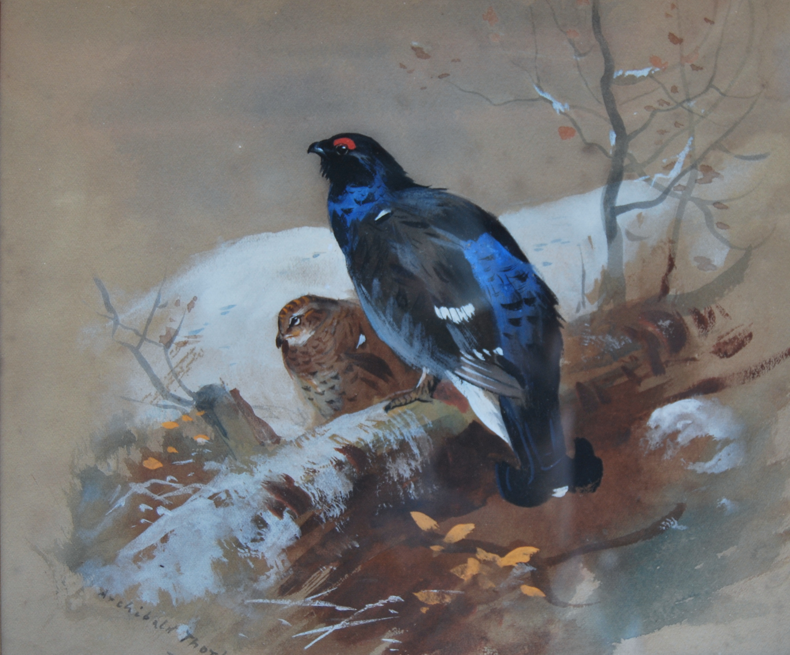 Archibald Thorburn