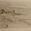 Thumbnail: Freddy Theys - Assorted Etchings