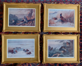 Archibald Thorburn for Sale