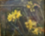 Daffodils