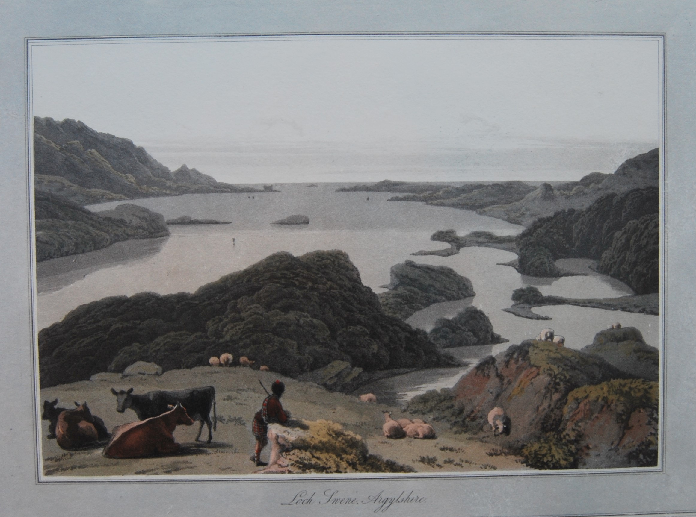 William Daniell