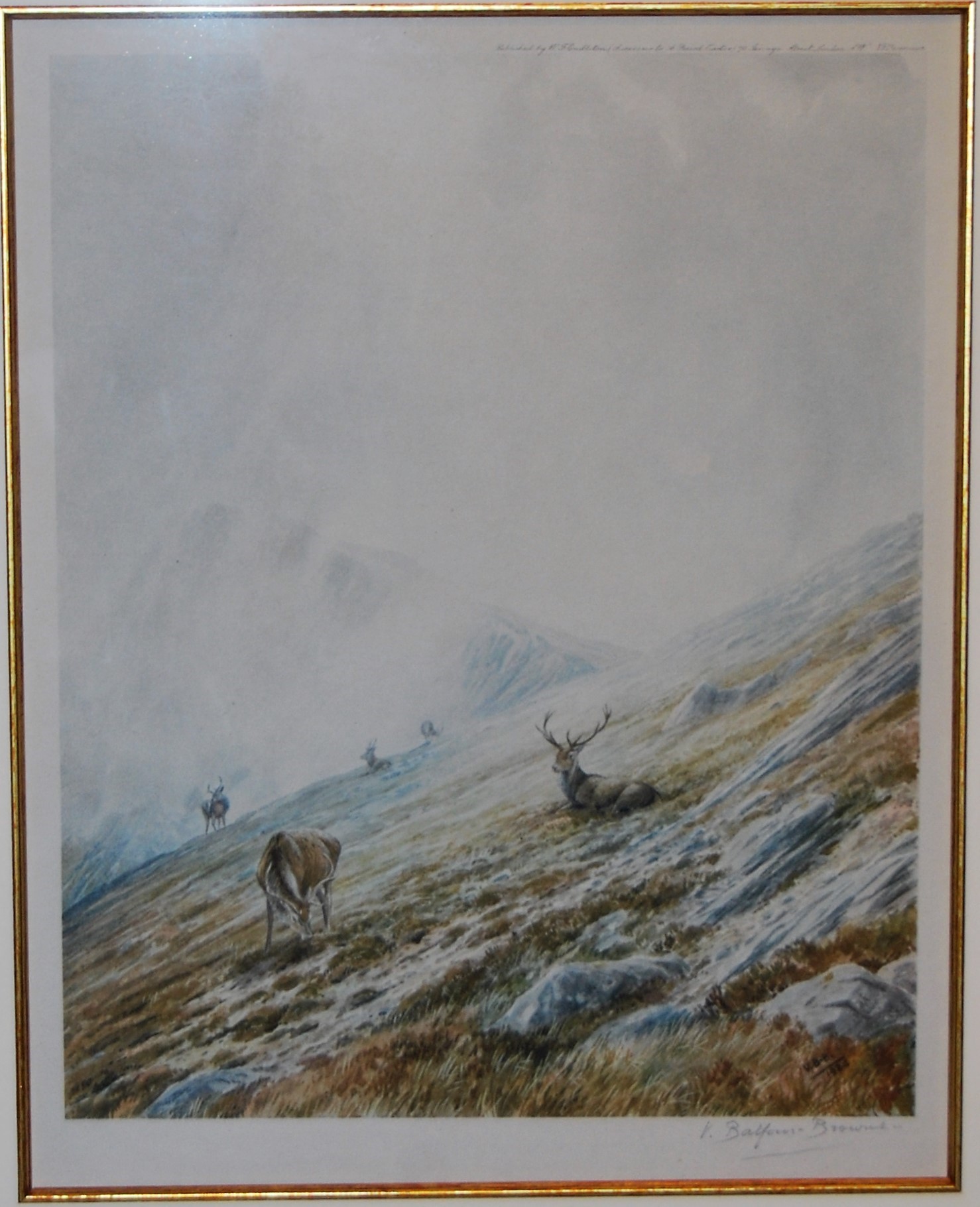 "Corrie Dubh Royal (1 of 5)"