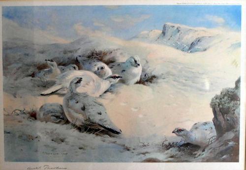 "Ptarmigan"