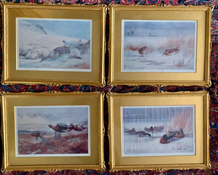 Archibald Thorburn for Sale