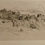 Thumbnail: Freddy Theys - Assorted Etchings