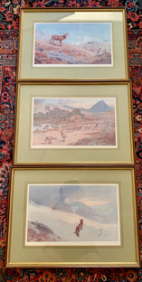 IMG_3188.jpeg