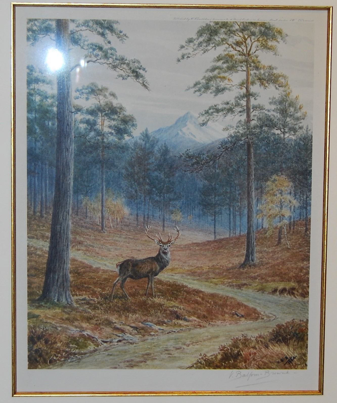 "Corrie Dubh Royal" (5 of 5)