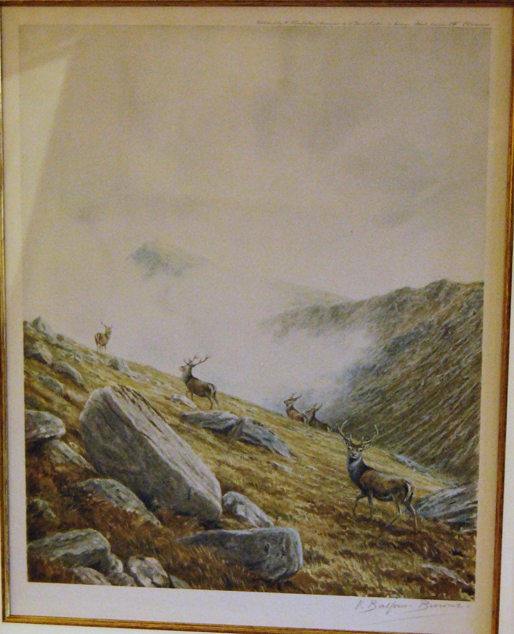 "Corrie Dubh Royal" (2 of 5)