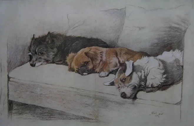 Cecil Aldin - Asleep on the Sofa