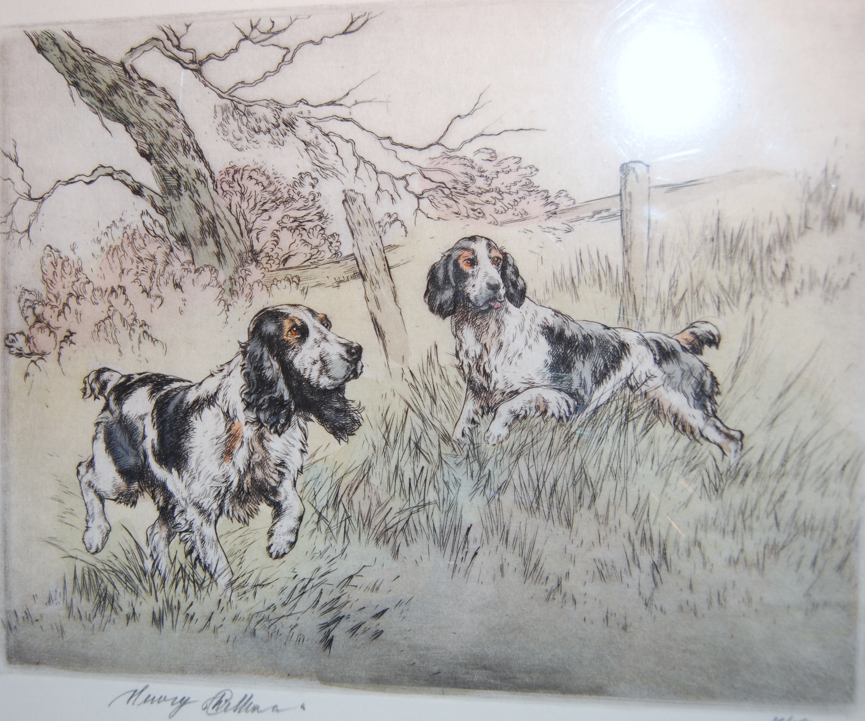 Spaniels