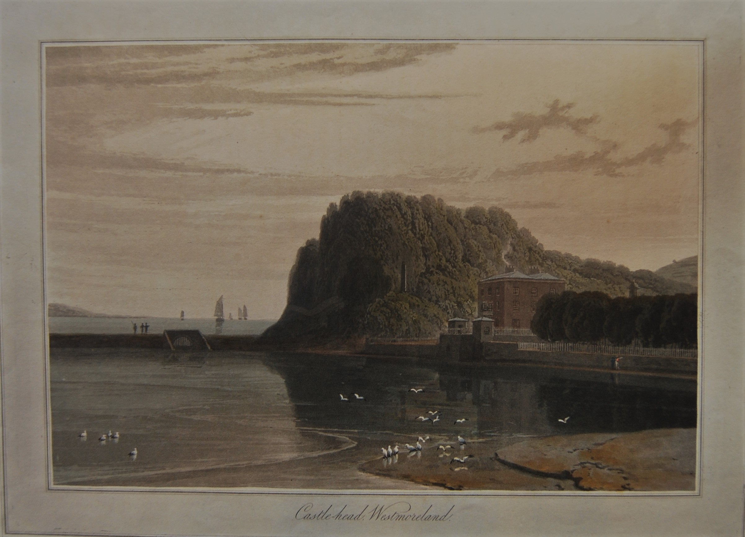 William Daniell