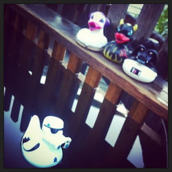 Instagram - Kylypytynnyrilelut.jpg