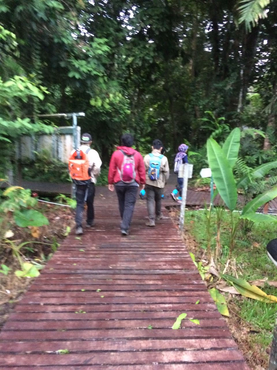 IMG-20170213-WA0066_3