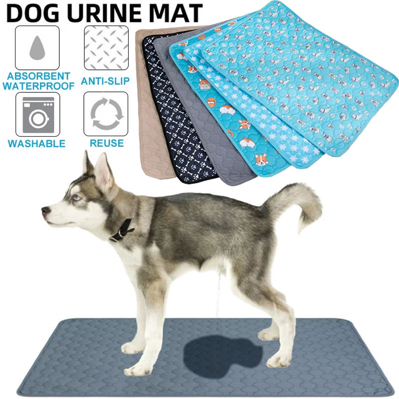 DryGuard™ Reusable Puppy Training Pad – Cleaner Homes, Happier Pets