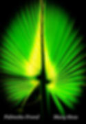 Palmetto Frond